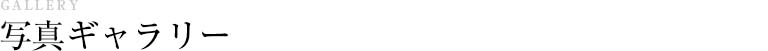 写真ギャラリー