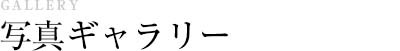 写真ギャラリー