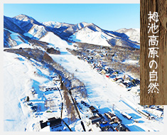 栂池高原の自然